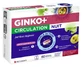 Ginkor Ginko + Nighttime Circulation, 60 Tablets