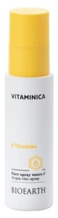 Bioearth Vitaminica 6-Vitamin-Gesichtsnebel, 100 ml