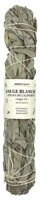 Natura Square Witte Salie Apiana XL Smudge Stick