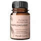 Phytalessence Grapefruit Seed Extract 60 Capsules