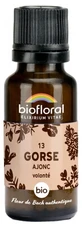 Biofloral-korrels 13 Gorse - Biologische Gorse 19,5 g