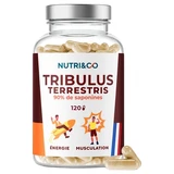 Nutri&Co Tribulus Terrestris 120 Capsules