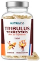 Nutri&amp;Co Tribulus Terrestris, 120 cápsulas