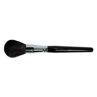 Parisax Pro Black Powder Brush by Parisax