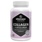 Vitamaze Kollagen + Hyaluronsäure 60 Kapseln