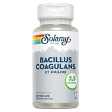 Solaray Bacillus coagulans en inuline 2,5 miljard 60 vegetarische capsules