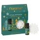Florame Huile Essentielle Au Pied du Sapin Bio 10 ml + Décoration à Parfumer 7 cm