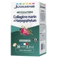 Juvamine Marine Collageen + Harpagophytum, 60 tabletten