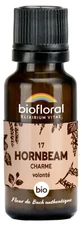 Biofloral-korrels 17 Haagbeuk - Charme Bio 19,5 g