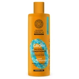 Natura Siberica Oblepikha Conditioner voor kracht en groei met peptiden, 400 ml