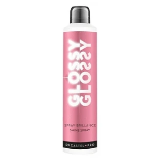 Ducastel Pro Glanzspray 300 ml