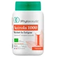 Phytoceutic Biologische Acerola 1000, 28 tabletten