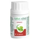 Naturactive Ginkgo 60 Kapseln