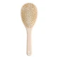Bachca Care & Shine Boar Bristle Nylon Brush, Large Size