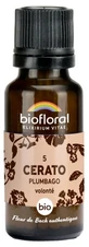 Biofloral 5 Cerato-korrels – Biologische Plumbago 19,5 g