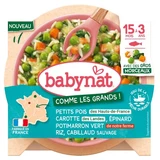 Babybio Babynat: guisantes, zanahorias, espinacas, calabaza moscada, arroz verde y bacalao salvaje — Para niños de 15 meses a 3 años — 200 g