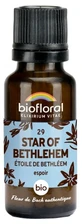 Biofloral Gránulos 29 Estrella de Belén - Estrella de Belén ecológica 19,5 g