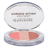 Benecos „Fall in Love“ Rouge-Trio 5 g