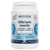 Oemine Marine Silicon 60 Kapseln