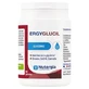Nutergia Ergyglucil, 60 cápsulas