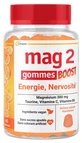 Mag 2 Energy and Anxiety Boost, 45 Gummies