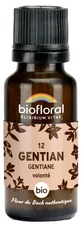 Biofloral-korrels 12 Gentiaan - Biologische gentiaan 19,5 g