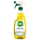 Biovie Multi-Purpose Black Soap Cleansing Spray, 750 ml