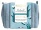 Kit de rituales hidratantes de aloe vera de BeauTerra