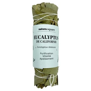 Natura Square Eucalyptus Fagot de Fumigation