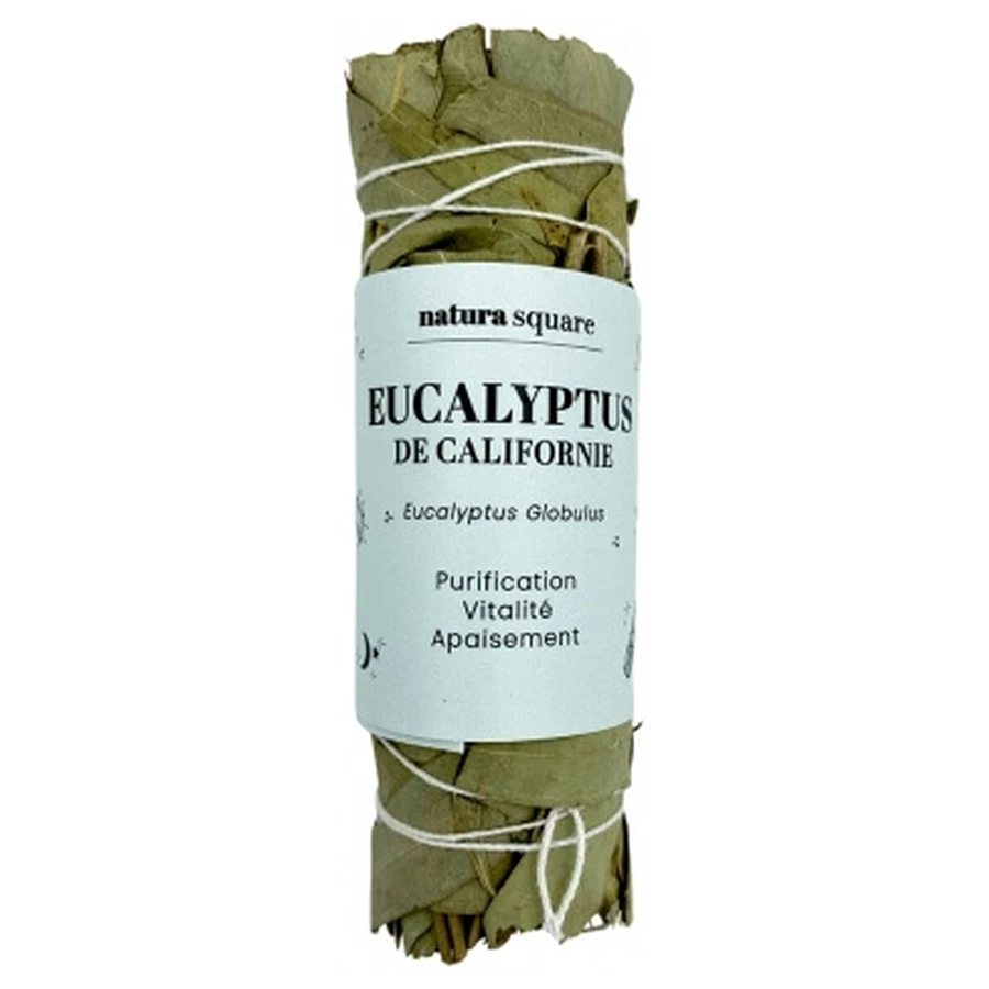 Natura Square Eucalyptus Fagot de Fumigation