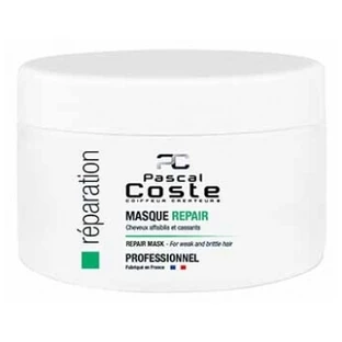 Pascal Coste Repair Professional Mask