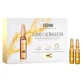 Isdin Isdinceutics Flavo-C Ultraglican 10 ampullen