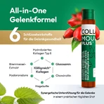 CollaMouv Plus Colágeno, Glucosamina y Condroitina (Bebida concentrada) 14 x 25 ml, BHW Bayerische Heilmittel