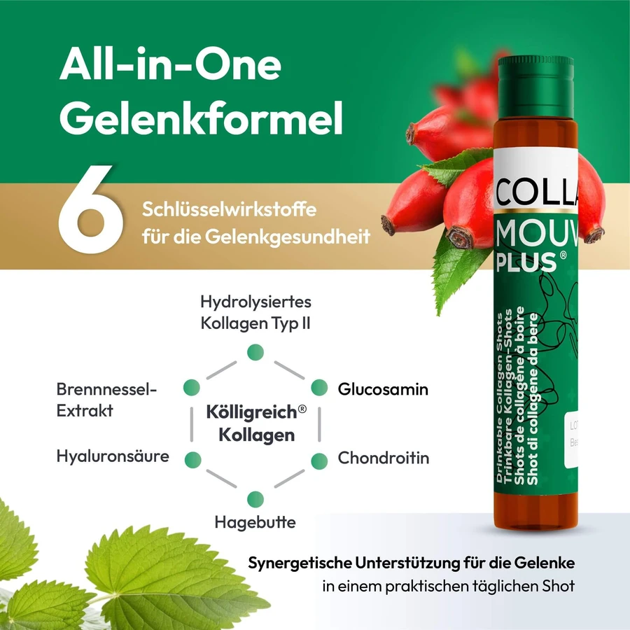 CollaMouv Plus Colágeno, Glucosamina y Condroitina (Bebida concentrada) 14 x 25 ml, BHW Bayerische Heilmittel
