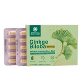 Ginkgo Biloba 500 mg — 30 capsules with concentrated leaf extract, for memory, concentration, and circulation