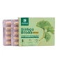 Ginkgo Biloba 500 mg — 30 capsules met geconcentreerd bladextract, voor het geheugen, de concentratie en de bloedsomloop