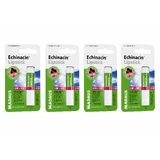 Echinacin Madaus Lippenbalsam 4 × 4,8 g