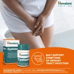 Cystone, 2x100 tablets, Himalaya