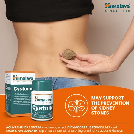 Cystone, 2x100 tablets, Himalaya