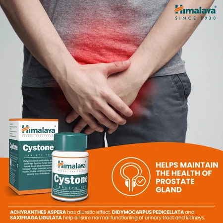Cystone, 2x100 tablets, Himalaya