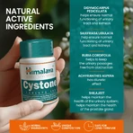 Cystone, 2x100 tablets, Himalaya
