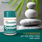 Cystone, 2x100 tablets, Himalaya