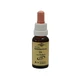 Bachbloesemremedies: Murnauer Elm-druppels, 20 ml
