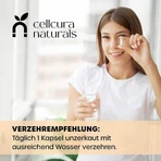 Vitamine D3 + K2-capsules, 120 capsules