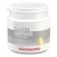 PANACEO MED INTESTINAL REPAIR, cápsulas, 100 cápsulas