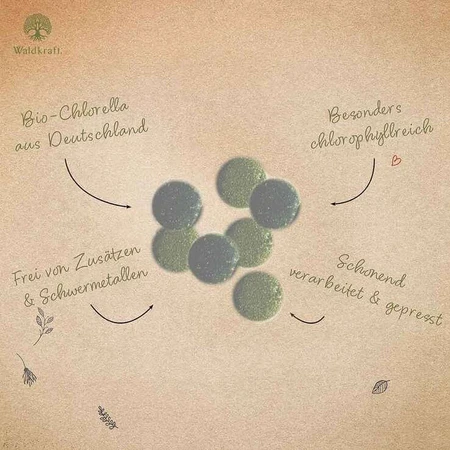 Biologische Chlorella-tabletten van Erdling, 220 tabletten