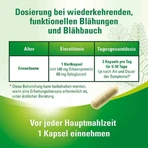 Lefaxan Protect Hard Capsules, 15 hard capsules