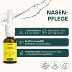 Heybee Propolis-neusspray, 15 ml neusspray