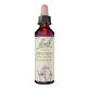 Bachbloesemremedies Original 18 Impatiens druppels, flesje van 10 ml