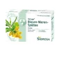 Sidroga Blasen-Nieren-Spültee Filterbeutel, 20X2.0 g Tee